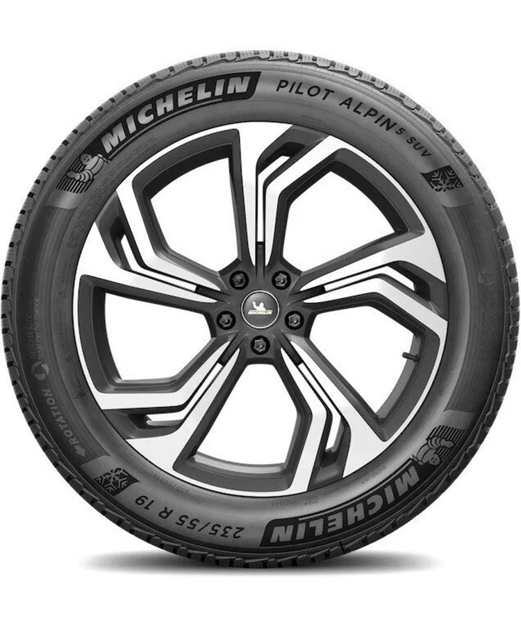 Michelin Pilot Alpin 5 SUV 315/30 R21 105V (XL) заказать