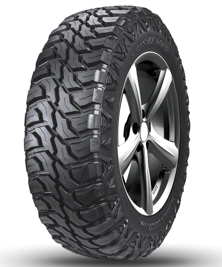 Doublestar T01