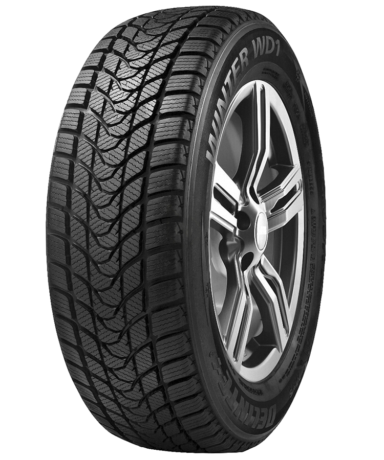 Delinte Winter WD1
