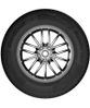 Cordiant ЛГШ Business (CS-2) 185/75 R16C 104/102R (б/к) купить в KOLOBOX